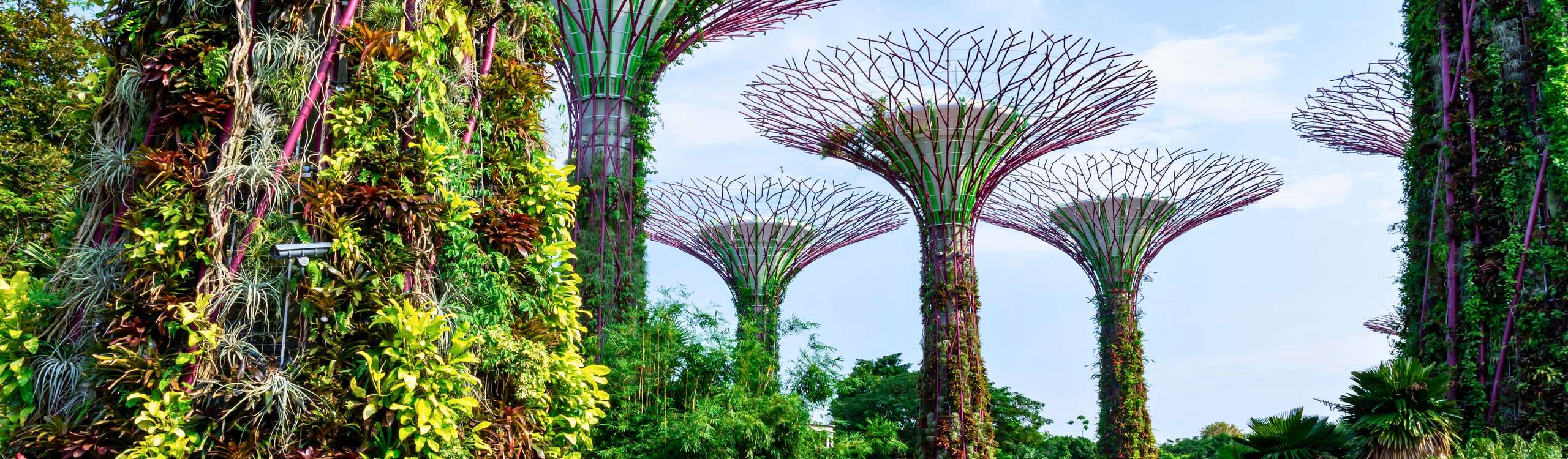 Explore Singapore with a City Pass – Save on top attractions, enjoy all-in-one access, and experience digital convenience in 2025